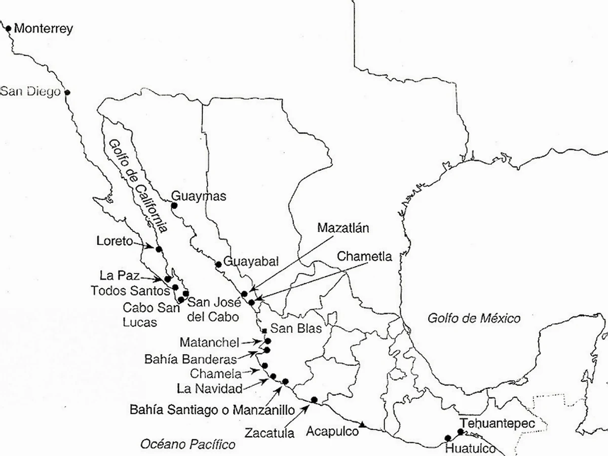 Puertos de Nueva España y libre comercio