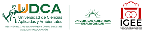 UDCA, Universidad Americana en la Ciudad e IGEE